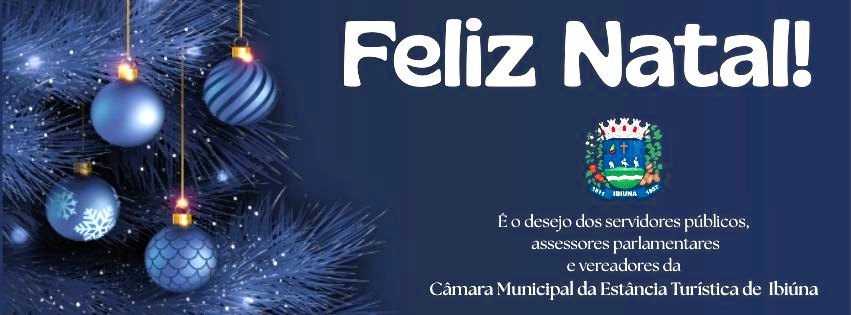 Boas festas e excelente 2026!