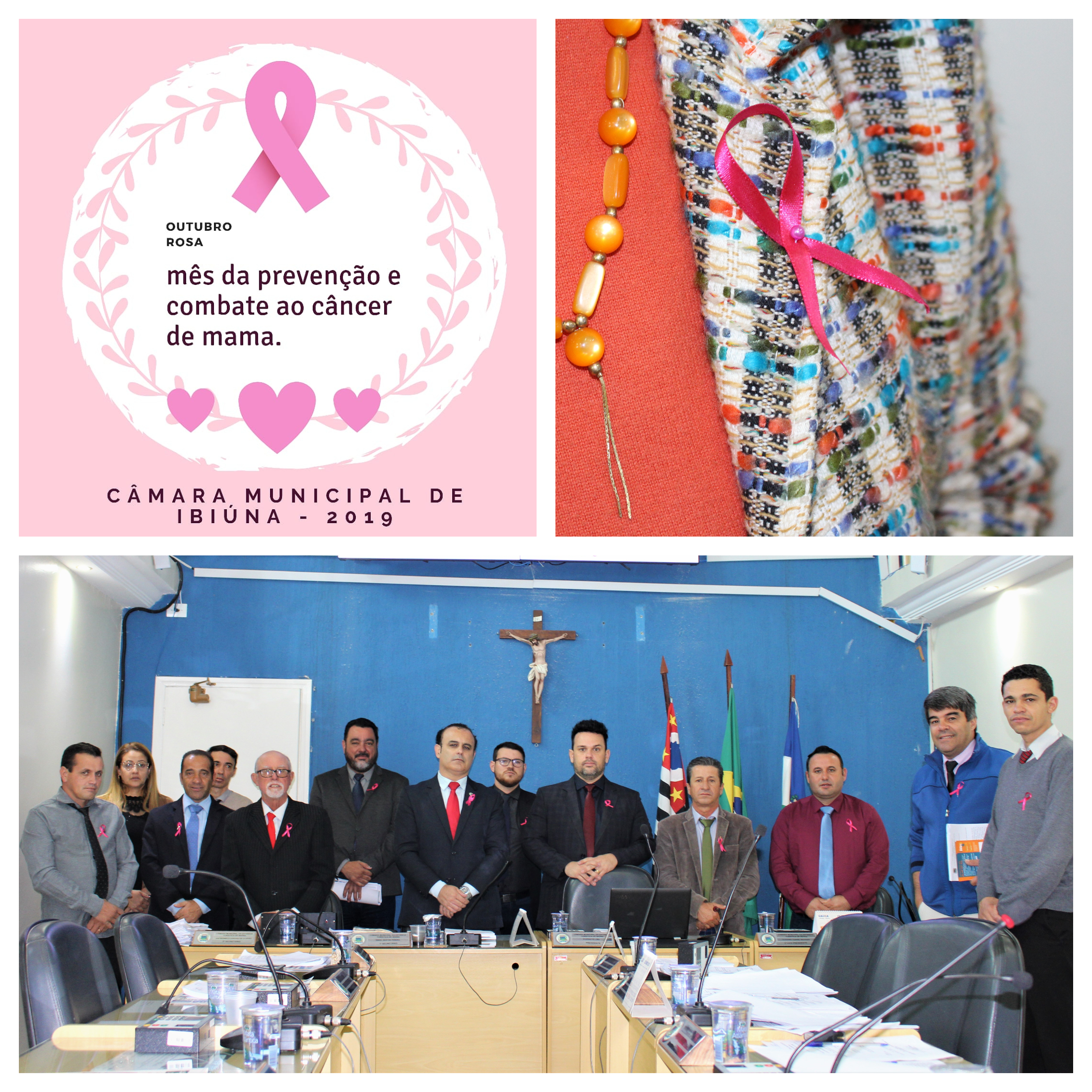 Câmara Municipal apoia a conscientização do Outubro Rosa